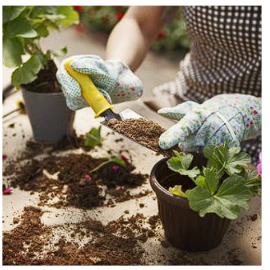 Soil & Fertilizer