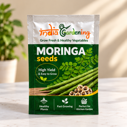 Moringa Seeds