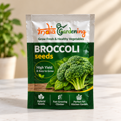 Broccoli Seeds for Home Garde