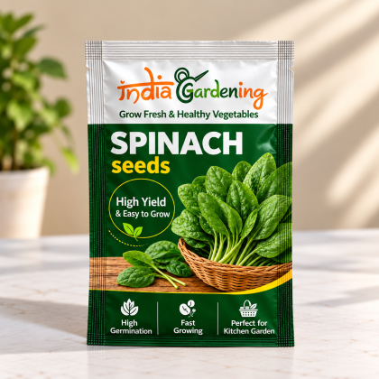 Spinach Seeds